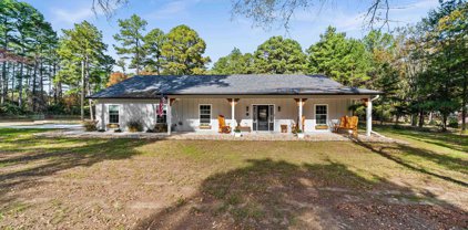 436 Green Meadow Trail, Holly Lake Ranch