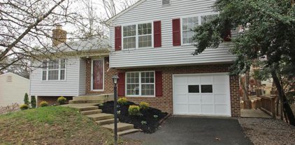 11995 Point Longstreet Way, Woodbridge