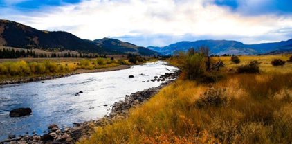 Cottage #8 19082 Hwy 149, Creede