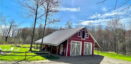 5019 Sherman-Mayville  Road, Chautauqua-062889