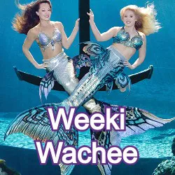 Weeki Wachee Florida Homes for Sale