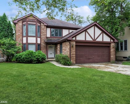 1424 Lahon Street, Park Ridge