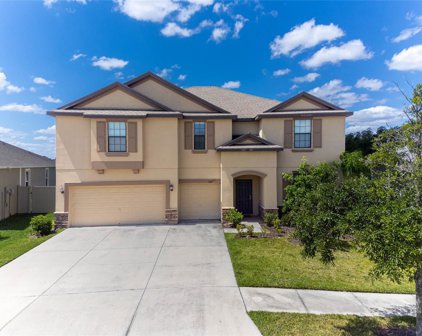 5067 Ivory Stone Drive, Wimauma