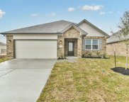 13210 Lanrin Park Lane, Houston image