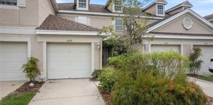 6229 Duck Key Court, Tampa