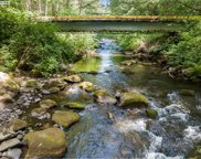 NE 324TH AVE, Camas image