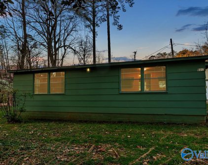 607 Camp Ney A Ti Road, Guntersville