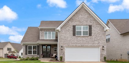 3023 Turnstone Trace, Spring Hill