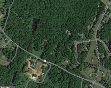04 Colvin, Amissville