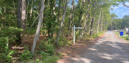 Touhey Dr, Stevensville