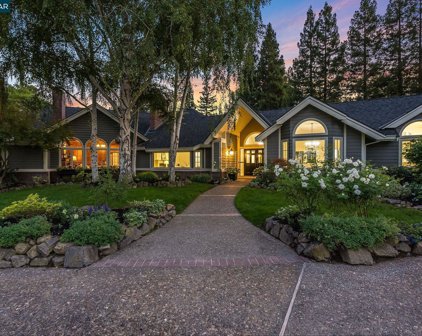 335 Lakeview Pl, Alamo