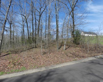 Lot 8 ROSE CREEK Court, Hot Springs