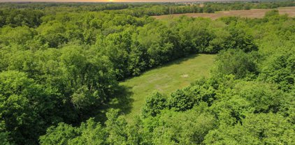 Tract 45 Stallard Springs, Shelbyville