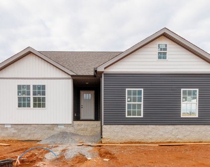 1175 Boulder Pass, Clarksville