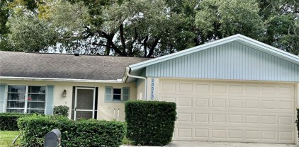 10515 Green Meadow Lane, Port Richey