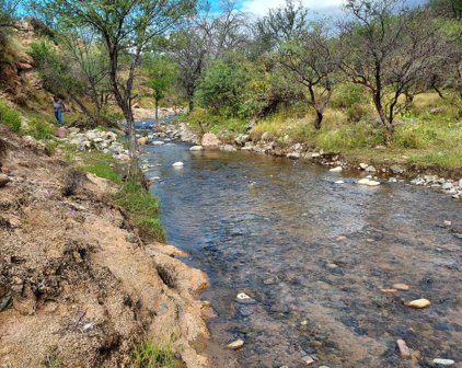TBD Camino Hidalgo Unit #109, Rio Rico