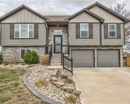 517 S Silver Top Lane, Raymore