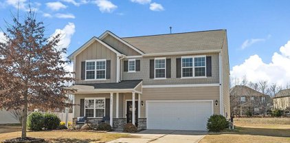 1033 Blue Stream  Lane, Indian Trail