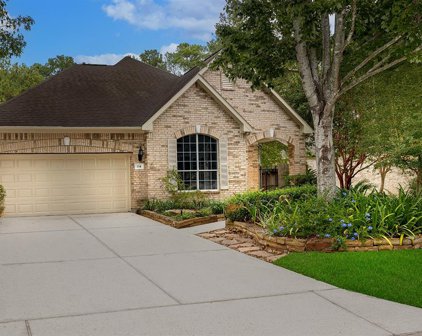 134 E Northcastle Circle, The Woodlands