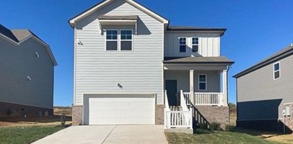 138 Millbrook Dr Lot 20, Spring Hill