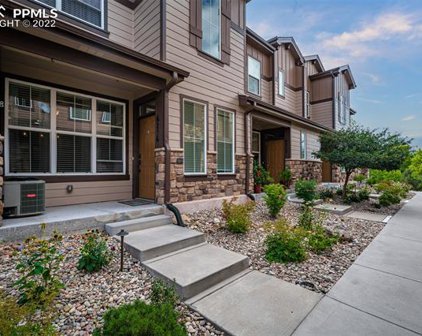 6256 Fowler Mill Point, Colorado Springs