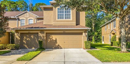 18860 Duquesne Drive, Tampa