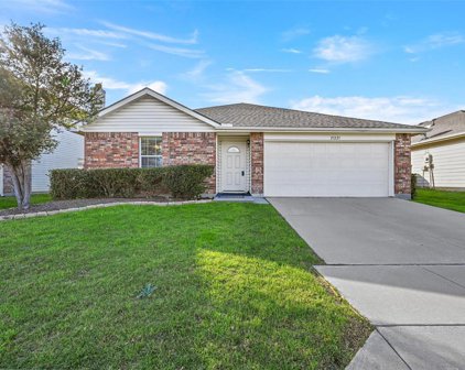 13221 Ragged Spur  Court, Fort Worth