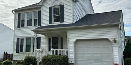 732 Sunnyfield Ln, Brooklyn