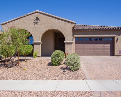 13359 N Cottontop, Oro Valley