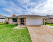 120 Chisolm Trail  Court, Springtown image
