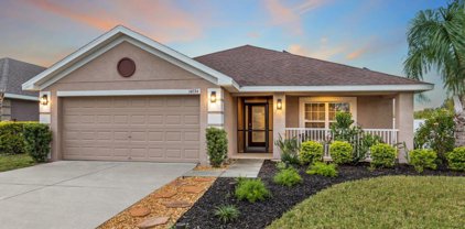14534 Scottburgh Glen Dr, Wimauma
