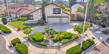35767 Lundy Dr, Newark