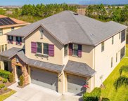 32060 Pinfeld Drive, Wesley Chapel image