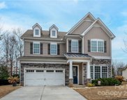 1717 Sutters Mill  Way, Fort Mill image