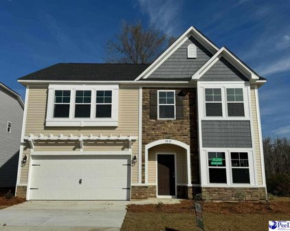 3845 Panther Path (Lot 91), Timmonsville