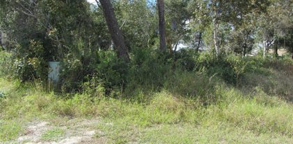 1684 Catalina Blvd, Deltona