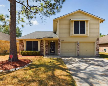 1207 Cowden Court, Missouri City