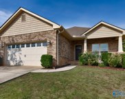 323 Lady Hawk Lane Sw, Huntsville image