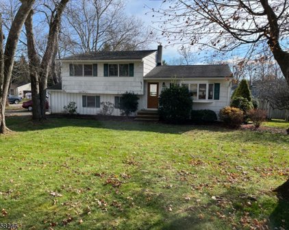 20 Pinchbrook Dr, Florham Park Boro