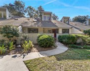 18 Townhouse Manor, Hilton Head Island image