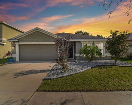 12208 Ledbury Commons Drive, Gibsonton