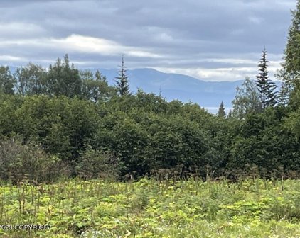 985 Nelson Avenue, Homer