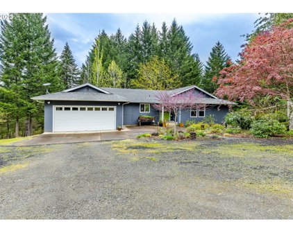 89245 FOREST VIEW DR, Elmira