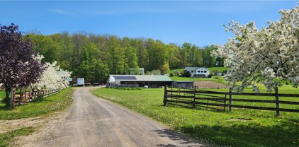 7880 State Route 79 Road, Barker