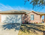 1465 Water Lily Drive, Little Elm image