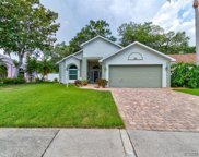 533 Cedaredge  Drive, New Smyrna Beach image