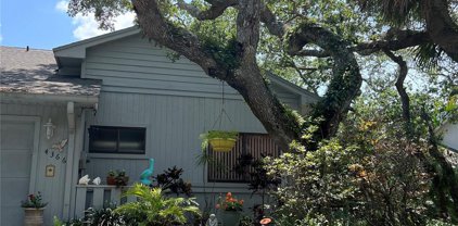 4366 Sea Cove, New Smyrna Beach