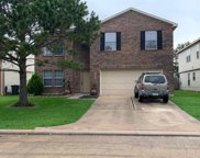18310 Thicket Grove Road, Houston image