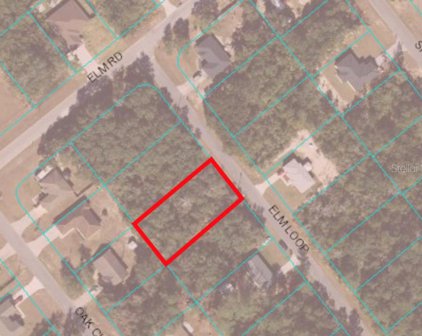 TBD Elm Loop, Ocala