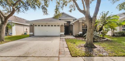 16917 Hawkridge Road, Lithia